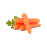 Vegetables Cabbage